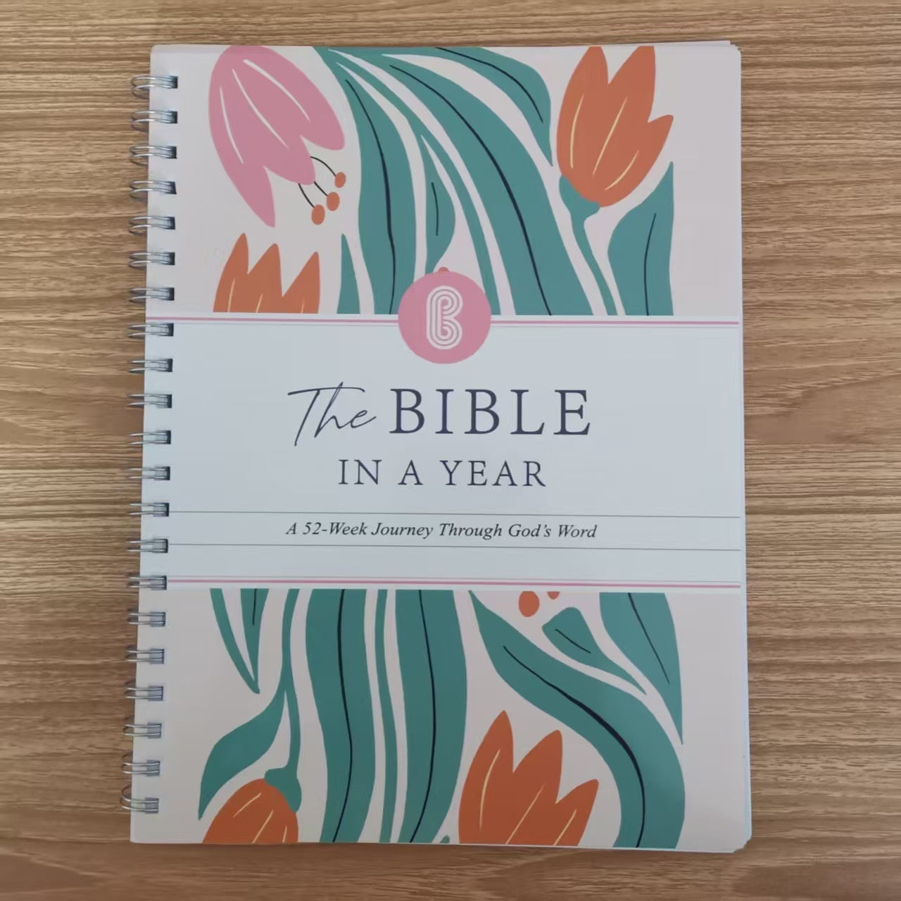 52-week bible study book